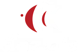 Enzos