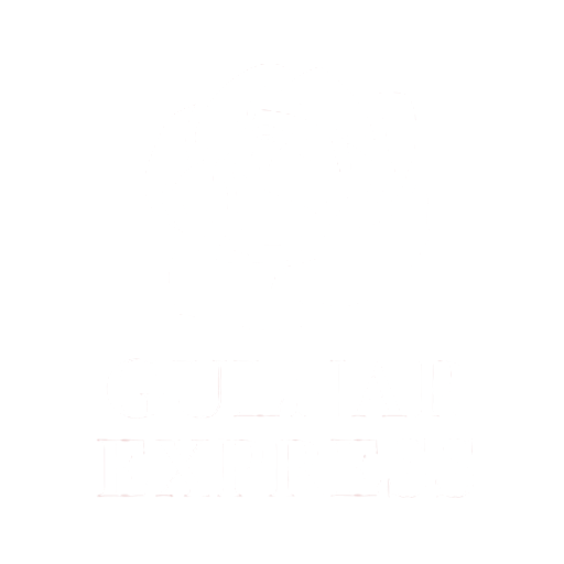 Gulnar Express